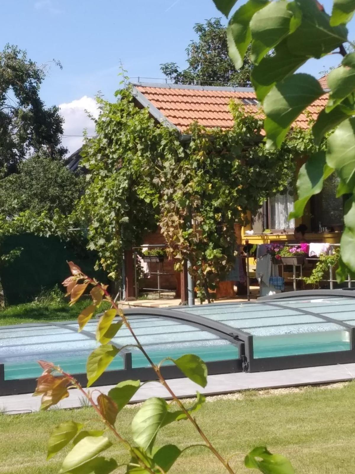 Chalupa V Meruňkovém Sadu Šakvice Chambre photo
